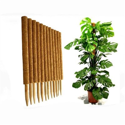 Supporto per palo di muschio per piante totem in fibra di cocco