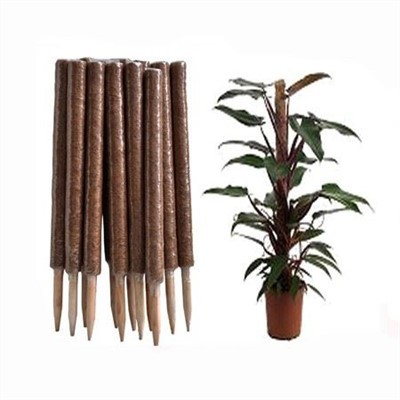 Palo di muschio di cocco impilabile in plastica da 24 pollici